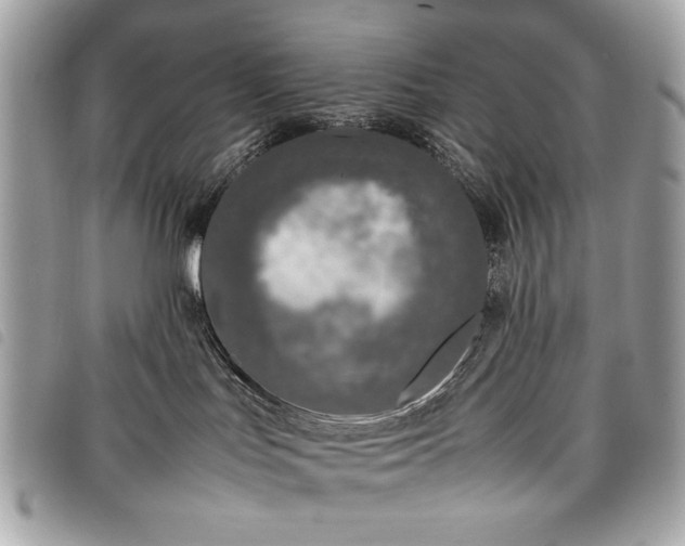 X0000098020047200804071404