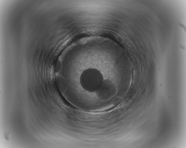 X0000098020048200804071404