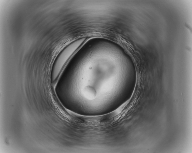 X0000098020049200804071403