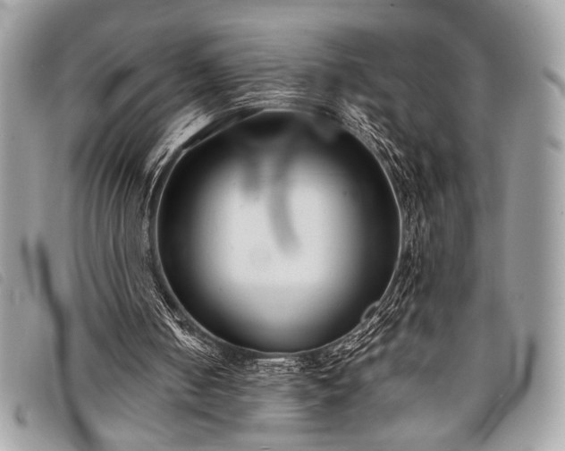 X0000098020050200804071403