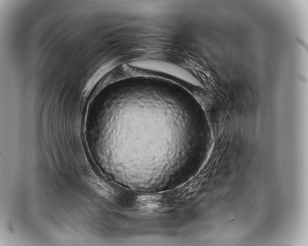 X0000098020051200804071403