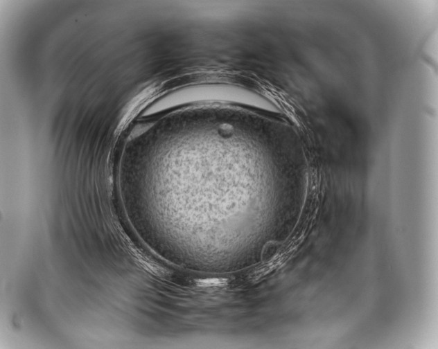 X0000098020053200804071403