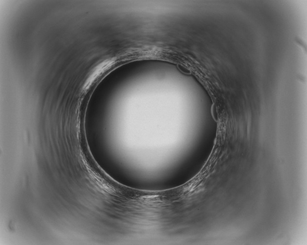 X0000098020054200804071403