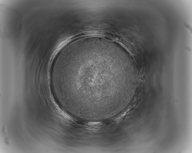 X0000098020055200804071403