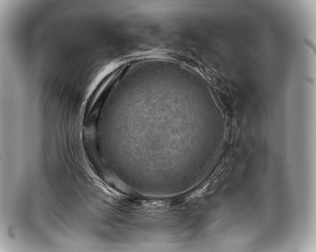 X0000098020056200804071403