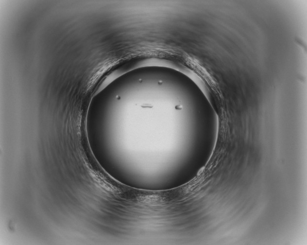 X0000098020058200804071403