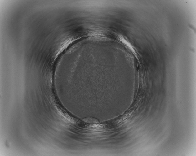 X0000098020059200804071403