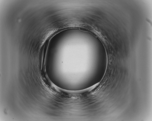 X0000098020060200804071403