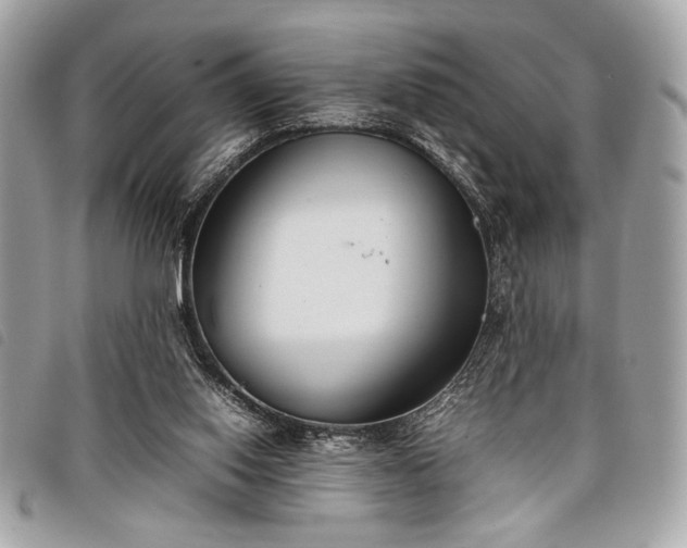 X0000098020062200804071403