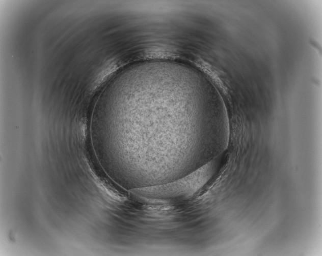 X0000098020063200804071403