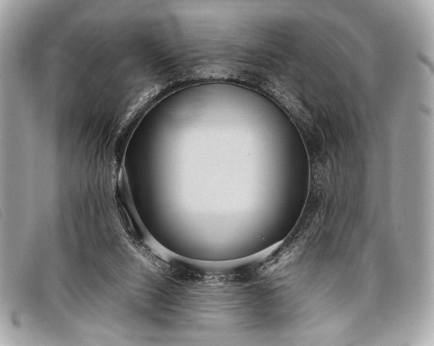 X0000098020064200804071403