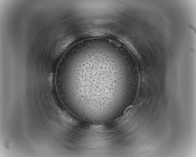 X0000098020066200804071403