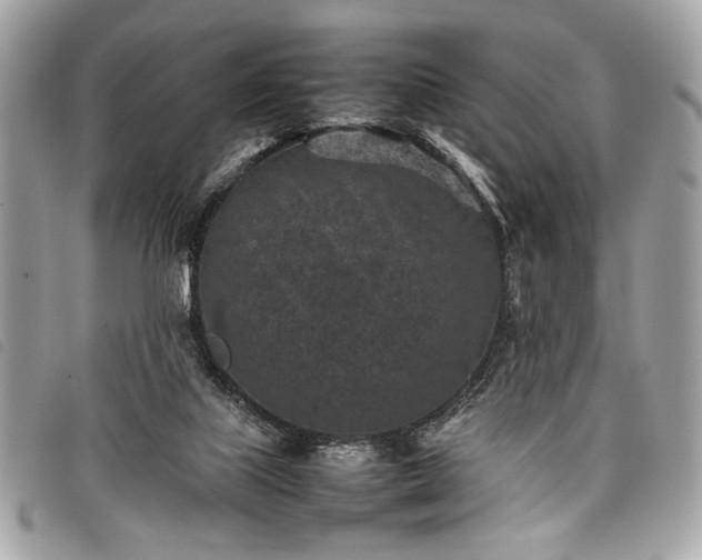 X0000098020067200804071403