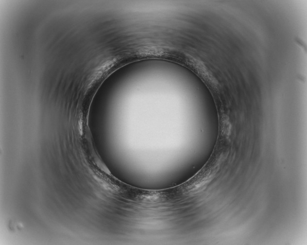 X0000098020068200804071403