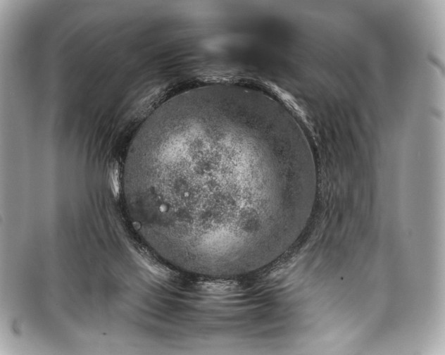 X0000098020069200804071404