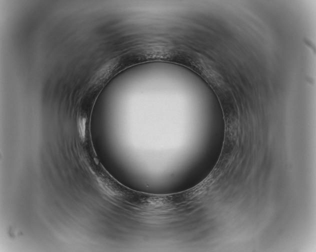 X0000098020070200804071404