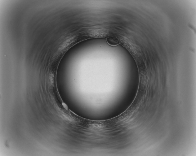 X0000098020071200804071404