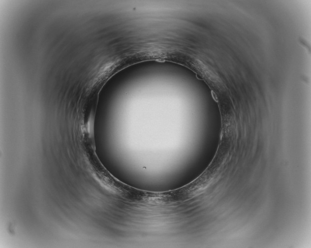 X0000098020072200804071404