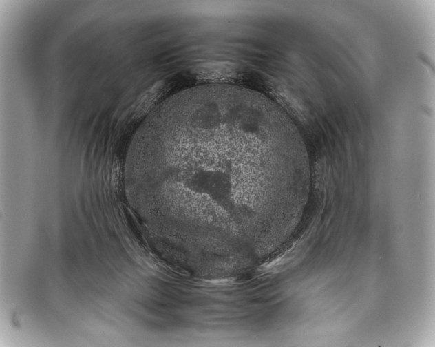 X0000098020073200804071404