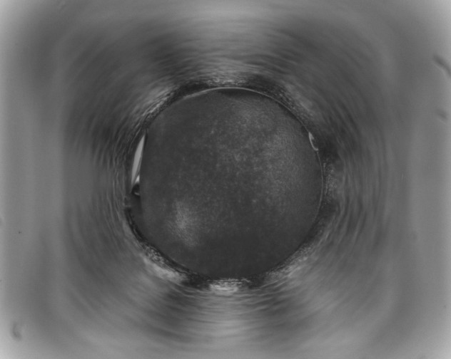 X0000098020076200804071404