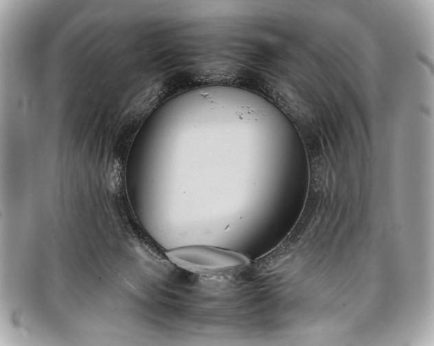 X0000098020077200804071404