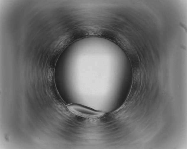 X0000098020078200804071404