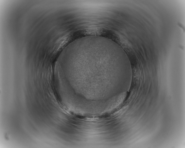 X0000098020080200804071404