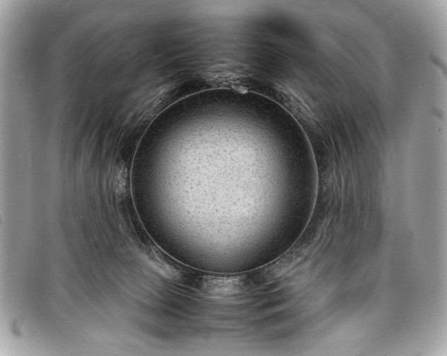 X0000098020081200804071404