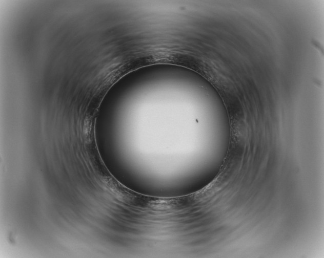 X0000098020082200804071404