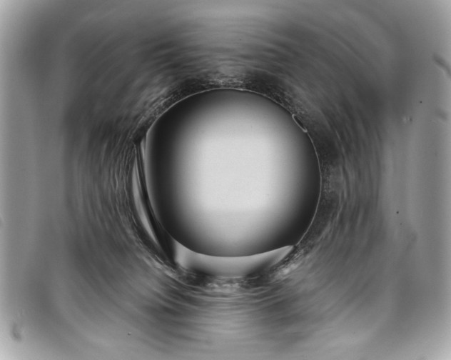 X0000098020084200804071404