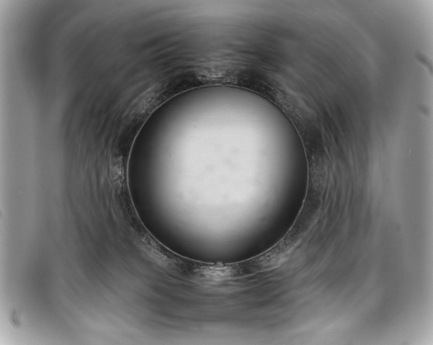 X0000098020085200804071404