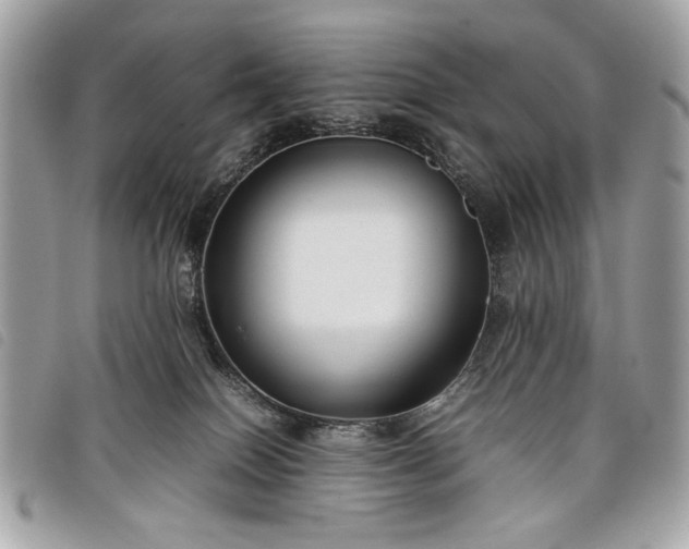 X0000098020086200804071404