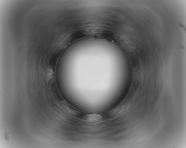 X0000098020087200804071404