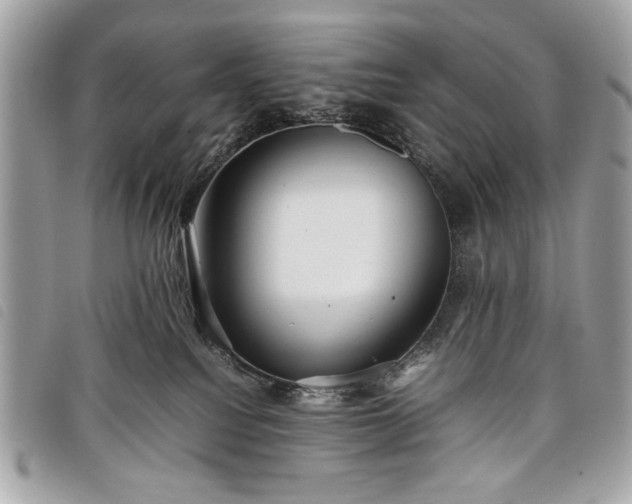 X0000098020088200804071404