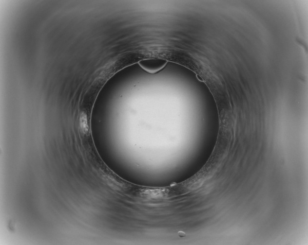 X0000098020089200804071404