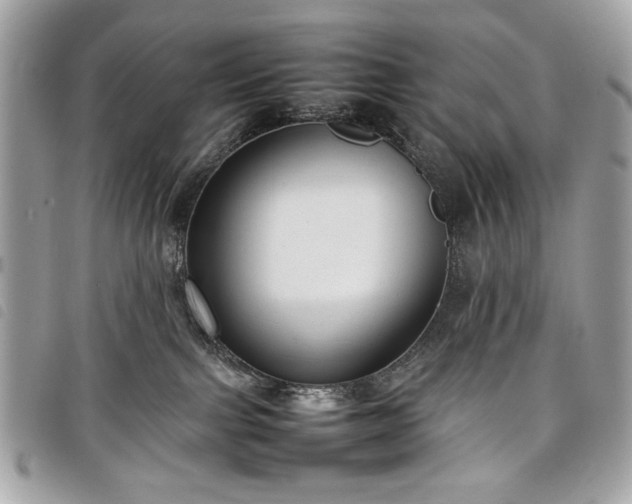 X0000098020091200804071404