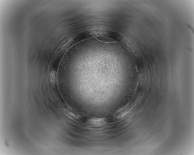 X0000098020093200804071404