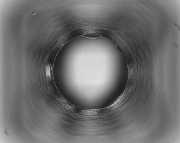 X0000098020094200804071404