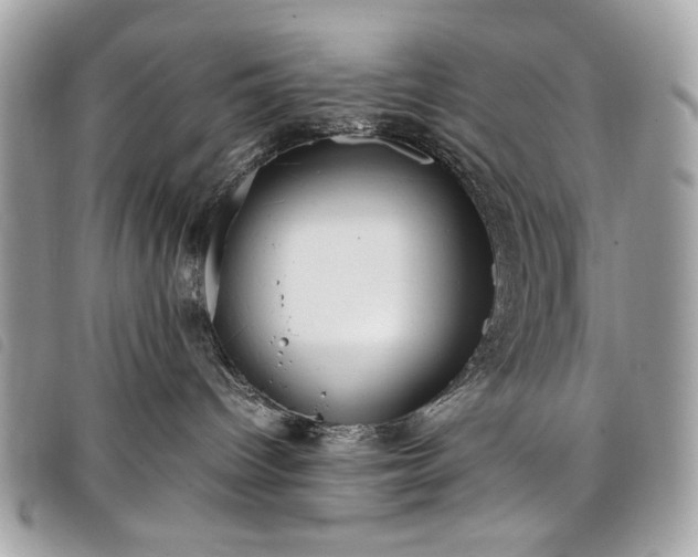 X0000098020096200804071404