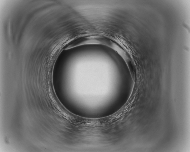 X0000098020097200804071403