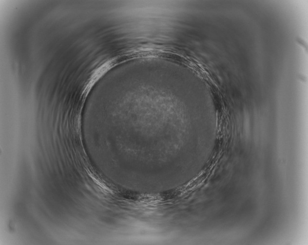 X0000098020099200804071403