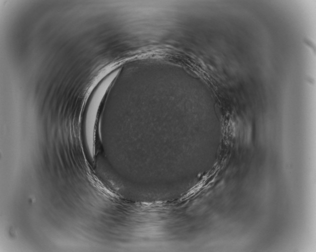 X0000098020100200804071403