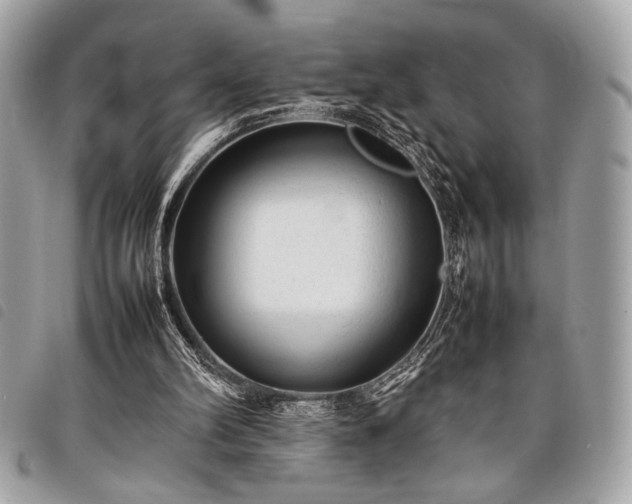 X0000098020102200804071403