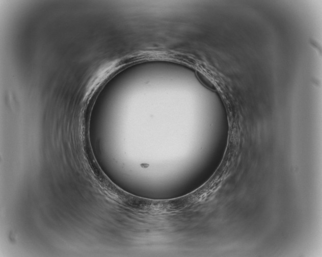 X0000098020103200804071403