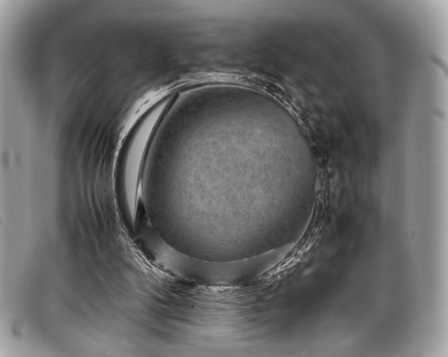 X0000098020104200804071403