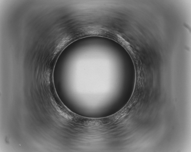 X0000098020106200804071403