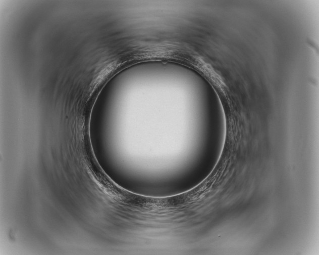 X0000098020107200804071403