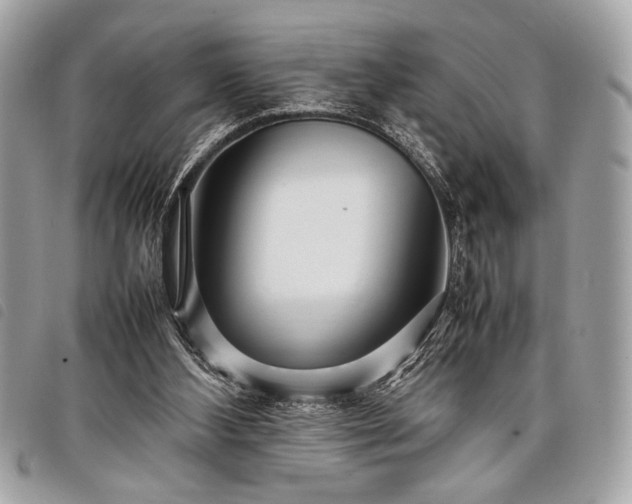 X0000098020108200804071403