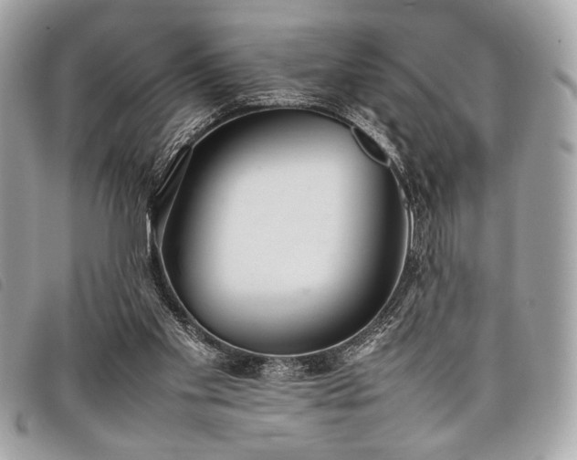 X0000098020109200804071403