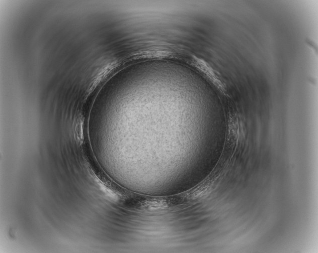 X0000098020110200804071403